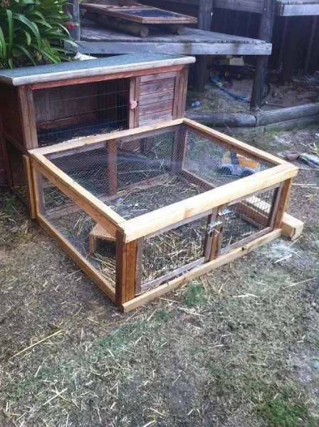 Guinea Pig Hutch_Extension