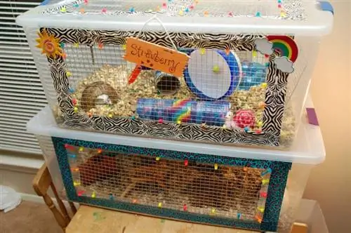 Cage Hamster DIY (Cage Bin)