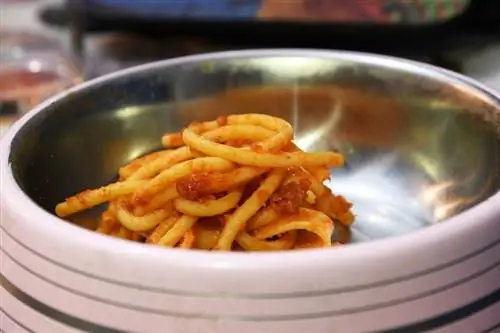 Pasta kwenye Bowl_shutterstock_GIOVANNI RAUCCI ya Mbwa