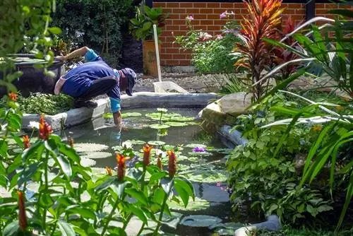 Membersihkan kolam taman