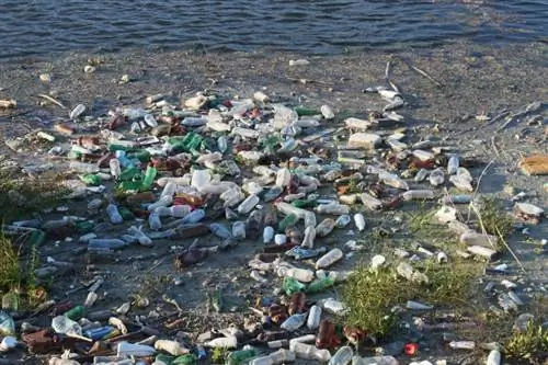 plastic care plutește în ocean