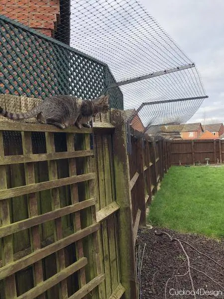 Unikt Cat Fence Topper System med titthål