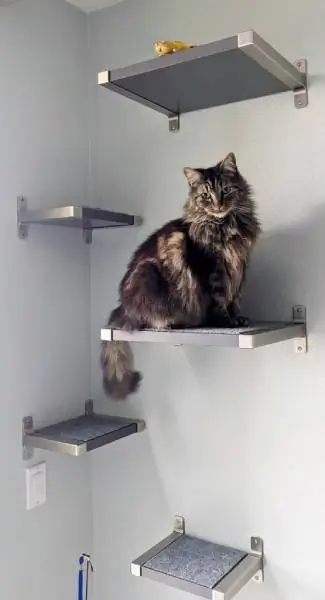 DIY drijvende kattenplanken