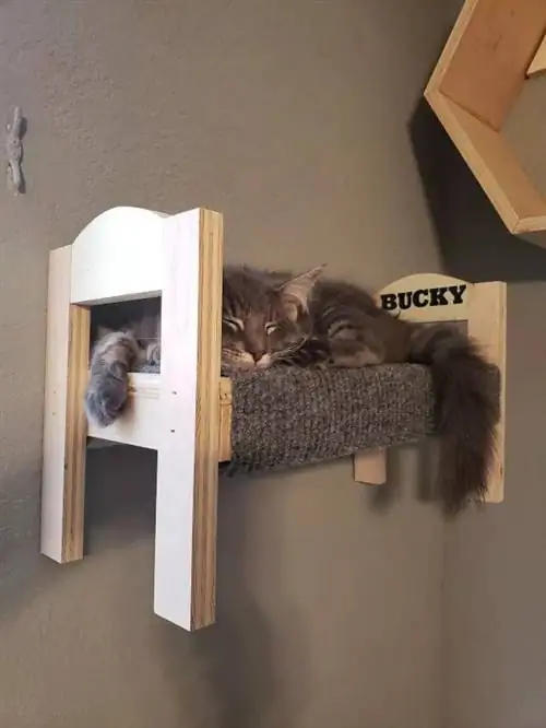 DIY Easy Scrap Wood Wall Mounted Cat Playground