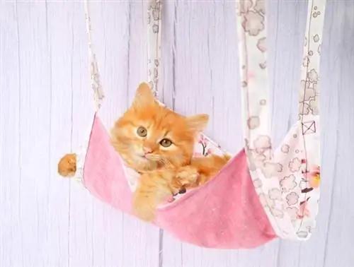 DIY Yooj Yim Sew Cat Hammock