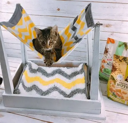 DIY Upcycled Cat Hammock