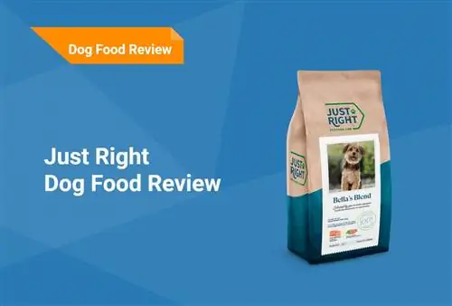 Just Right Dog Food Review 2023: Thu hồi, Ưu điểm & Nhược điểm