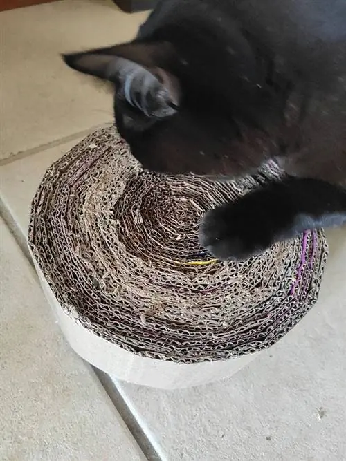 DIY Homemade Cat Scratcher- Homify