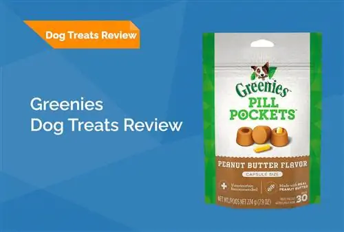 Greenies Dog Treats Review 2023: Rov qab, Pros & Cons