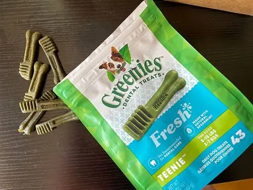 Guloseima dental fresca Greenies para cães