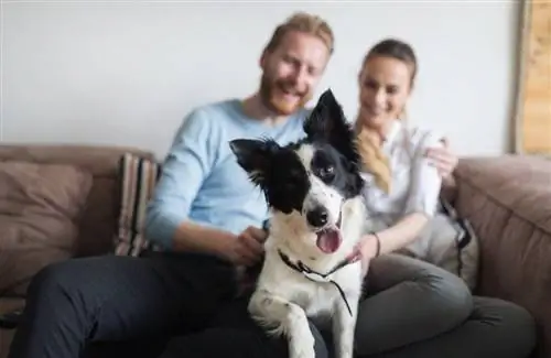 famiglia con cane