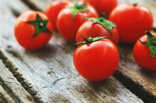 bouquet de tomates