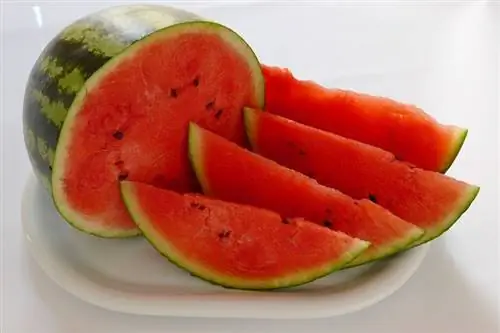 watermelon kwenye sahani na background nyeupe