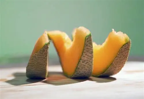 Cantaloupmelon