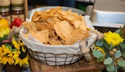 tortilla chips