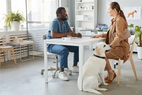 mulher conversando com veterinário