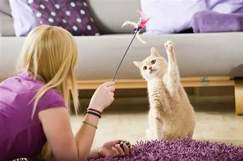 Fille jouant avec son chat