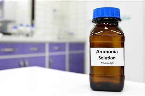 ammia-solution-or-ammonium-hydroxide_sulit.photos_shutterstock