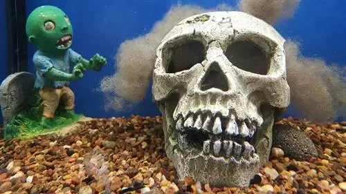 Halloween Town Aquarium