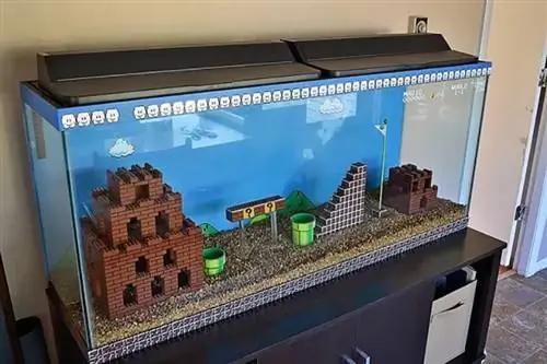 DIY super mario akvarium