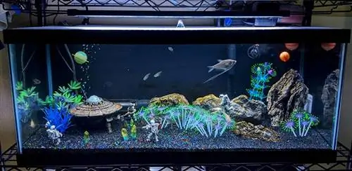 Acquario a tema spaziale fai da te