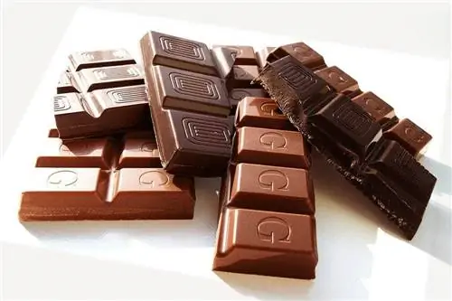 varietà di tavoletta di cioccolato