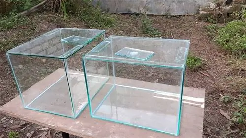 Aquarium vide