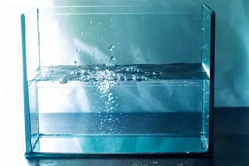 Vagues d'eau en mouvement et bulles éclatant dans l'aquarium