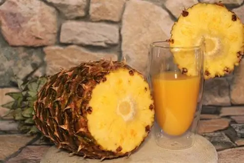 Jugo de piña exprimido de piña fresca