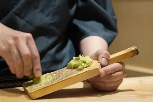 răzătoare manuală wasabi proaspăt cu răzătoarea de piele de rechin