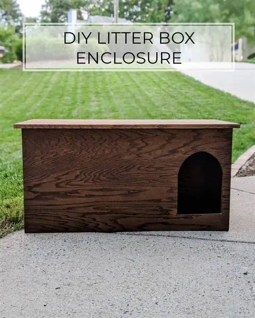 DIY Litter Box Enclosure thiab Rooj