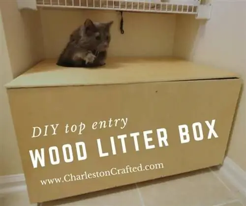 DIY Sab saum toj nkag Litter Box Enclosure