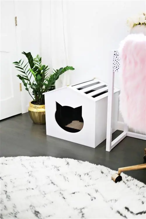 Cubierta de caja de arena DIY Cat Face