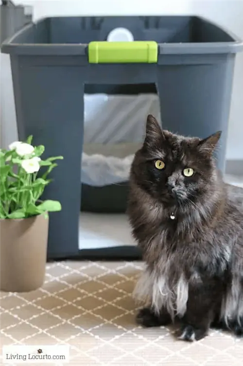 DIY Storage Container Litter Box Holder