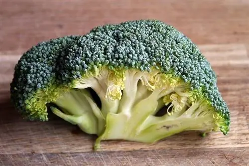 brocoli