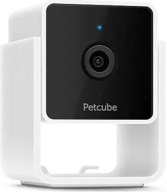 Petcube-1080P-HD-Pet-Kamera