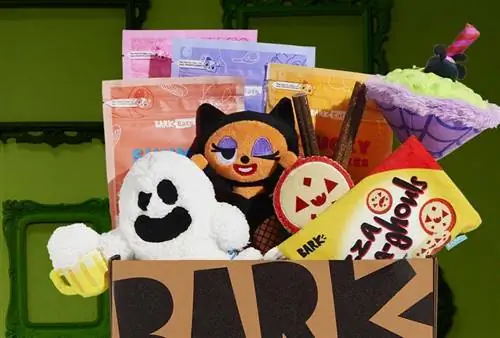 Barkbox tema de Halloween