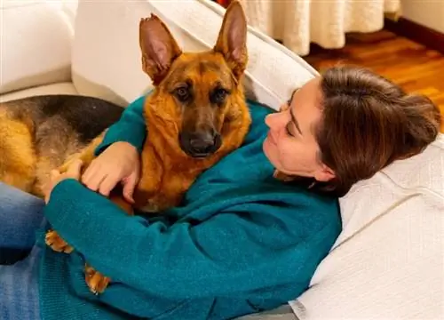 mulher sorridente abraçando seu cão pastor alemão