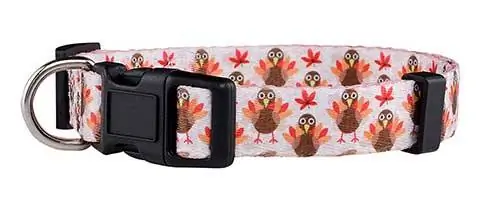 Native Pup Thanksgiving Dog Collar