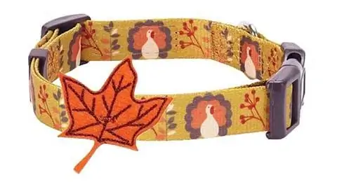 Blueberry Pet 8 Patterns Thanksgiving Adjustable Dog Collar with Maple