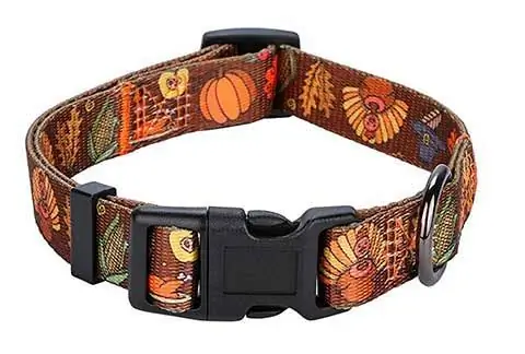 Rhea Rose Fall Halloween Thanksgiving Dog Collar