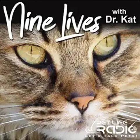 Neuf vies avec le Dr Kat