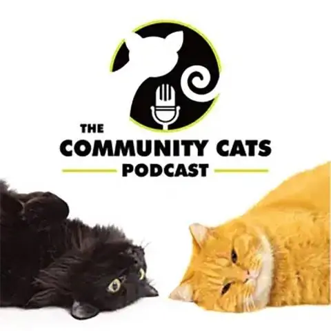 De Community Cats-podcast