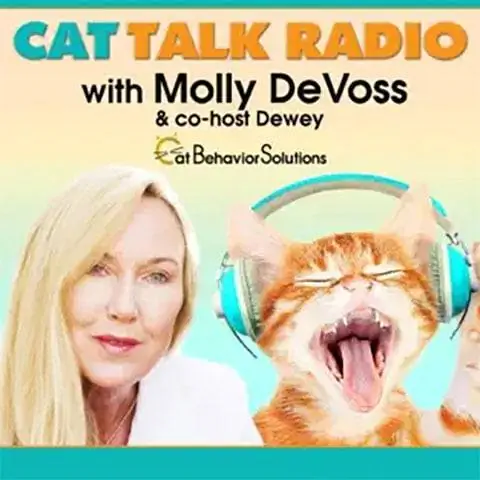 Cattalk-radio