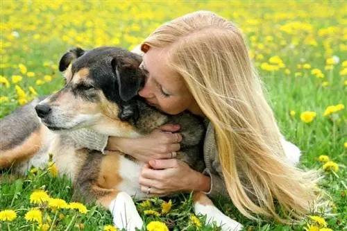 een vrouw die haar ouder wordende Duitse herder mixhond knuffelt