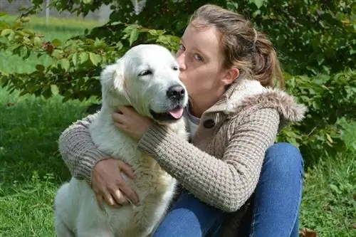 chica joven con golden retriever blanco