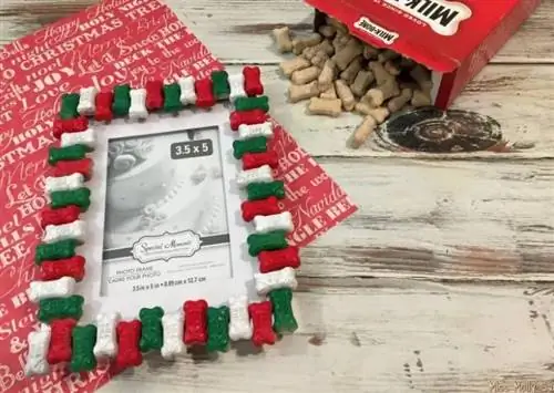 DIY Köpek Kemik Resim Çerçevesi