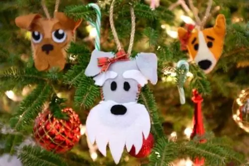 Verander je hond in een schattig ornament met deze eenvoudige kerstknutsel