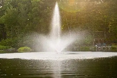 Fawn Lake SF100 Floating Fountain