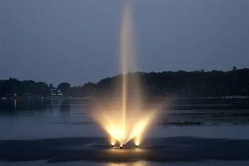 Teichbrunnen in der Nacht